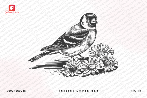 Download Floral Bird Hand Drawn Sparrow Bird PNG - Bird png Collection