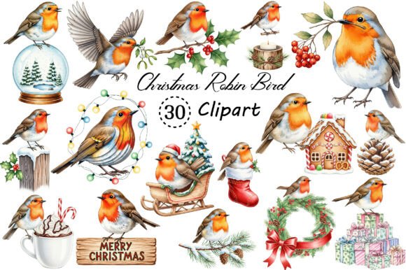 Download Christmas Robin Bird PNG Clipart - Bird png Collection