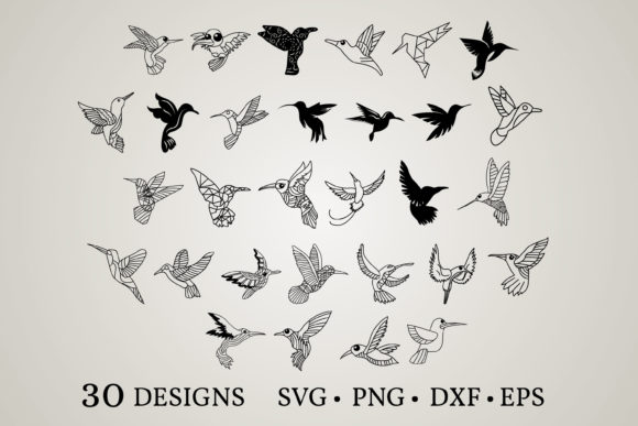 Download Hummingbird Bundle&nbsp;&nbsp; - Bird bundle Collection